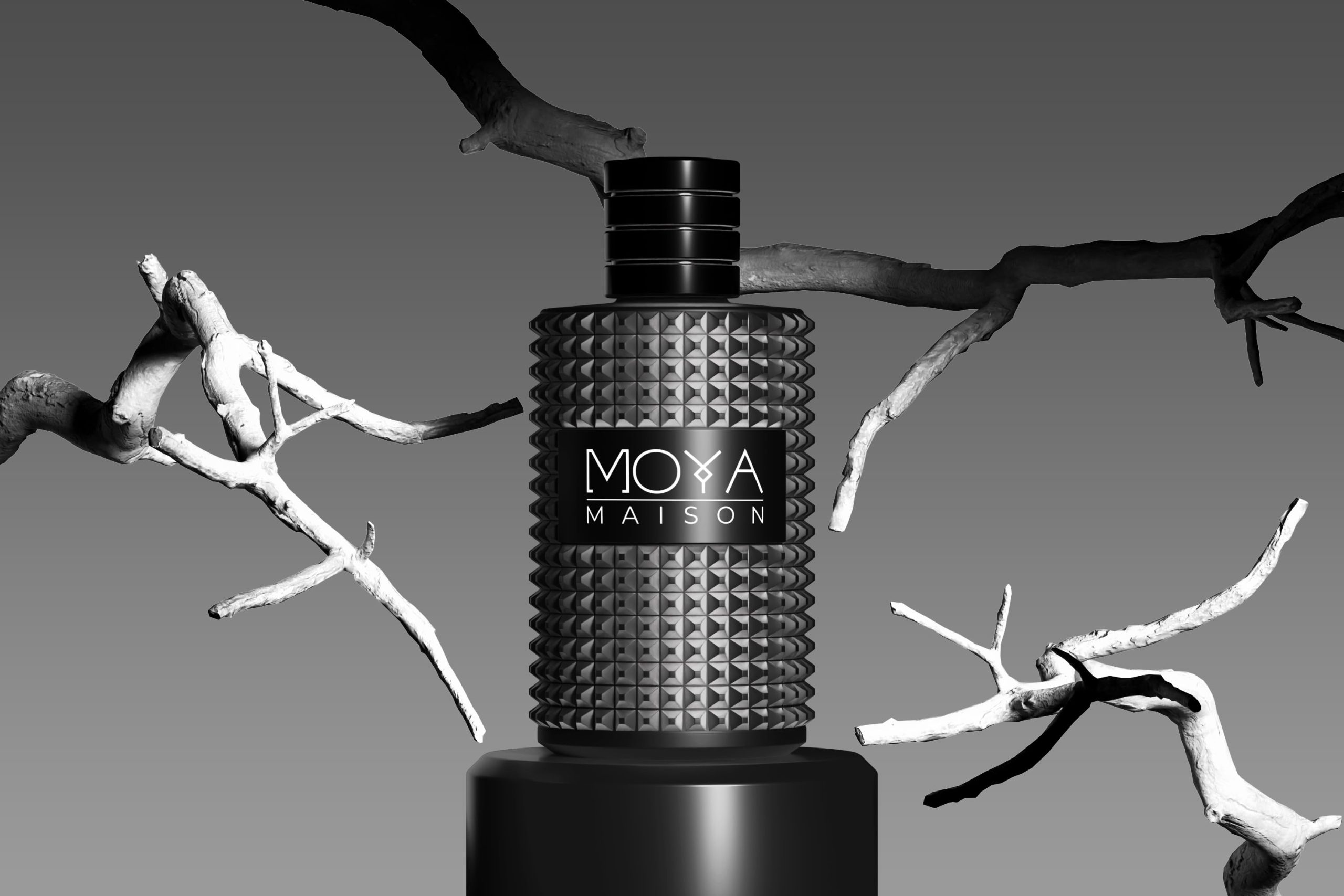 Mockup 02